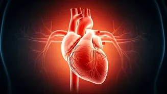 Boost Blood Flow: 5 Expert Tips for Vascular Wellness