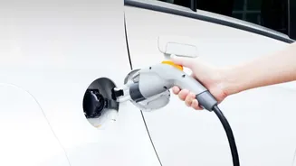Delhi-NCR Vehicle Owners: Check These PUC Details Before Your Next Fuel Visit