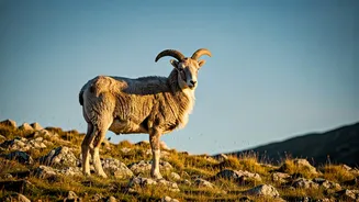 7 Unique Animals Starting With 'U'