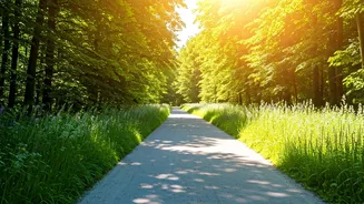 Hiba Allah Ayadi's Inspiring 52 Kg Weight Loss Journey in 11 Months Without the Gym