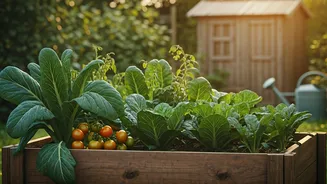 Planning A Kitchen Garden? Read This First