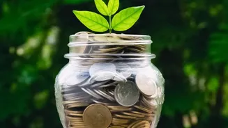 DRHP Explained: What Small Investors Should Check Before A Startup Listing