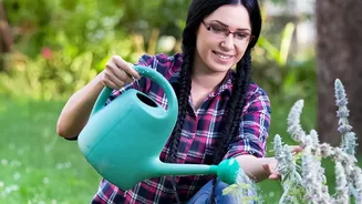 Why The Latest August Gardening Advice Strengthens The Case For Careful Watering