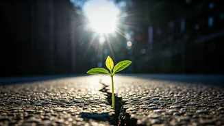 Resistance Work Can Start Small And Still Matter