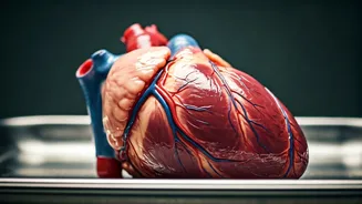 Heart Health: Foods to Avoid for a Stronger Heart