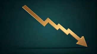 Sensex Slide: Decoding the Market's Recent Downturn