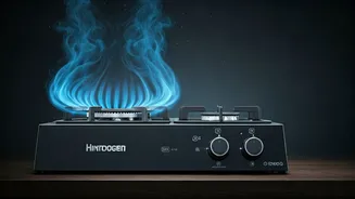 Revolutionary Made-in-India Hydrogen Stove: A Glimpse into Emission-Free Cooking