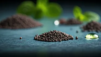 Sabja Seeds: 5 Delicious Indian Recipes to Boost Your Health and Taste Buds