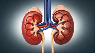 Tragic Milk Adulteration Incident in Andhra Pradesh Leads to Four Deaths from Anuria