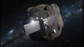 What to Verify before Acting on Hayabusa2's Torifune Asteroid Flyby