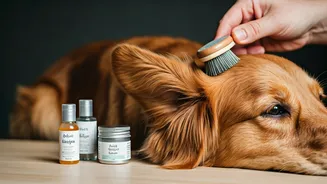 Skin Care Is Not Just For Humans Now