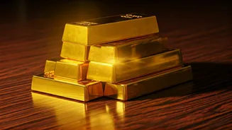 Decoding Top-Performing Index Funds for Savvy Investors