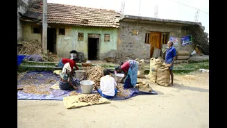 Essential Tips for Storm Preparedness in India