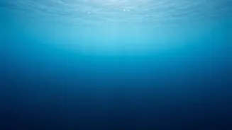 Why The Deep Ocean Can Store Heat For Long Periods