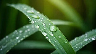 Try These Easy Monsoon Skincare Upgrades Today