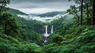 Unveiling South India's Hidden Hill Stations: Escape the Crowds for Misty Serenity