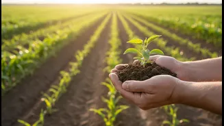 Documenting Diets Can Support Farmers Only if Benefits Return Locally