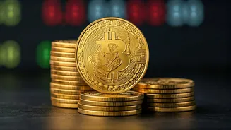 IPO Whispers: Decoding Shadowfax Technologies' Potential