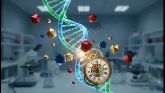 Why Modern Nutrition Science Is Looking Beyond Total Protein Grams