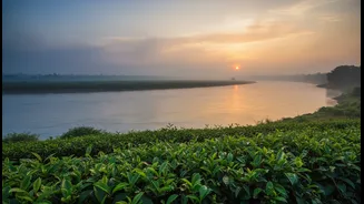 Jorhat Is Becoming A Base For Tea Gardens, River Landscapes And Culture