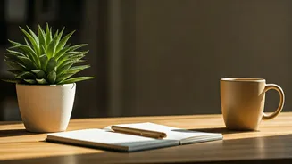 Beyond the Hustle: Embracing Maintenance Over Momentum for Sustainable Well-being