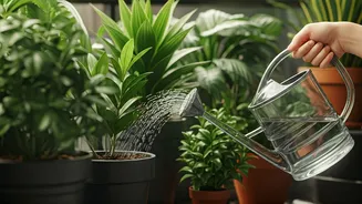 Plant Parents Want Free Hydration Without Balcony Disaster