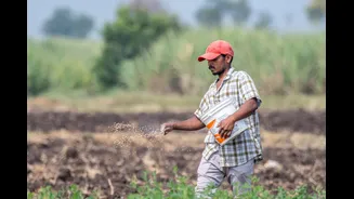 Pune Farmers Receive ₹238 Crore Crop Insurance Coverage