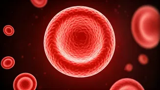 Are You Low on Vitamin B12? Check These Signs