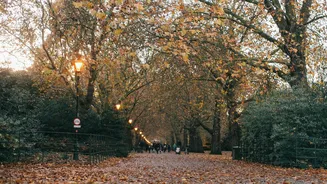 How nature walks can transform your health