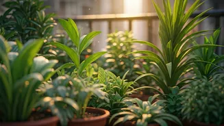 Urban Gardeners Are Choosing Native Plants Over Exotics