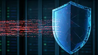 Unmasking the Bot Blocker: How Websites Secure Your Online Experience