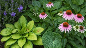 Lush Spaces Made Animal Proof Using Smart Green Choices