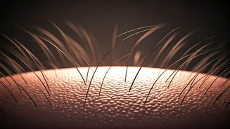 Hair Fall Talk Is Making Scalp Care Trend