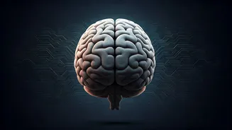 Top 10 Human Skills That Will Thrive in the Age of AI