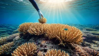This Vacation Trend Is Good For Earth