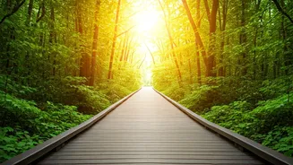 Unlocking Wellness: Japanese Walking for Healthier Living