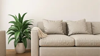 Keep Your Living Room Fresh All Monsoon Long
