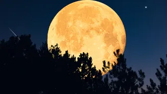 Closest Supermoon Of 2025 On November 5: Timing, Visibility And What To Expect