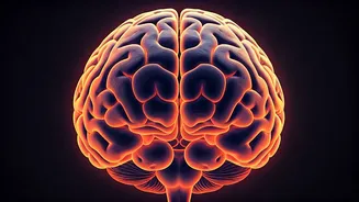 Sleep Deprivation: How Your Body Manages & What You Can Do