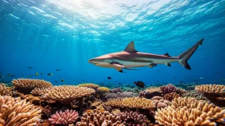 Maldives' Shark Encounters: Hina Khan's 'Magical' Dive Adventure and Top Diving Spots