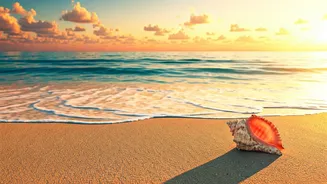 Colombo Flight Deals Trigger Massive Weekend Coastal Vacation Planning