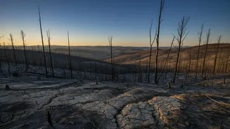 France and Spain Wildfires Explained: Wet-Winter Growth, Summer Drought, Embers and Fire-Generated Weather