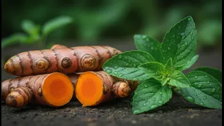 From Turmeric To Tulsi, Seasonal Herbs Are Back In Monsoon Conversations