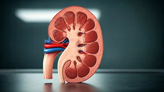 5 Foods to Dodge: Protect Your Kidneys Naturally