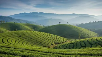 A 1.7-Night Trip Needs a Clear Cancellation and Delay Plan