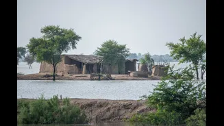 Lessons from Gohna Lake Disaster for Himalayan Flash Flood Management