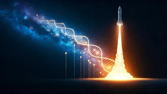 ISRO's Innovation Challenge Has Entered Career Planning
