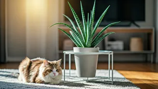 Indoor Plant Choices Affect Furry Flatmates Too