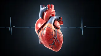 Stay Heart-Healthy: Simple Tips