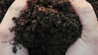 Kitchen Waste Becomes Useful When the Garden Actually Needs It